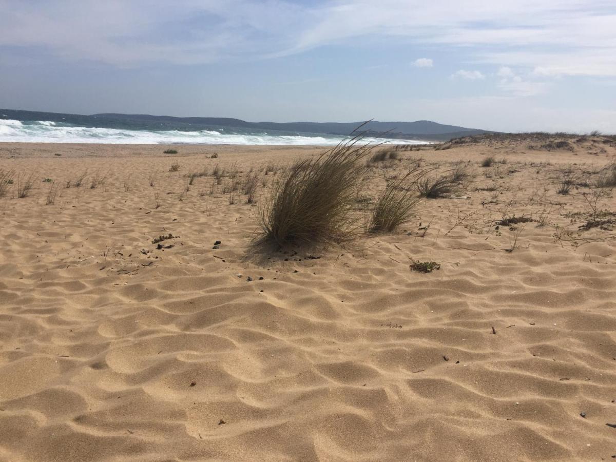 Panorama Bay Apartman Szozopol Kültér fotó